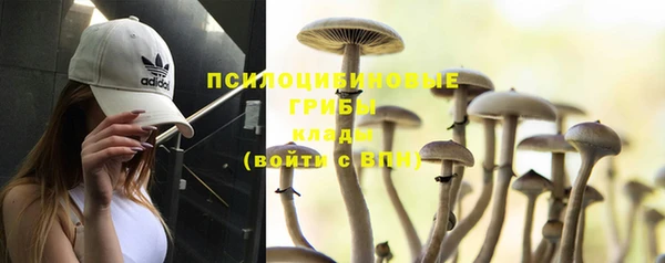 молекула духа Волоколамск