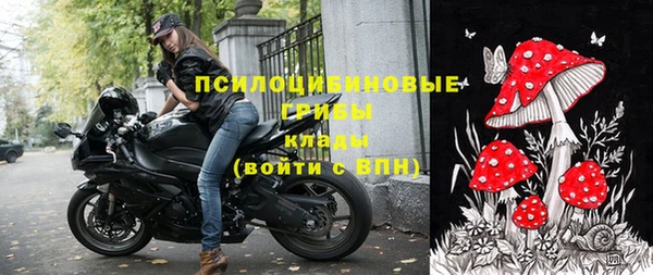 винт Верея