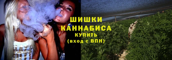 винт Верея