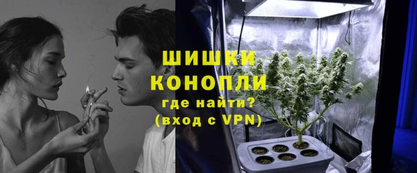 винт Верея