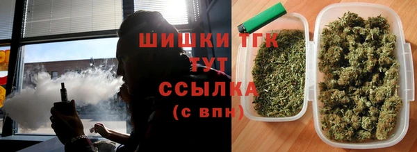 винт Верея