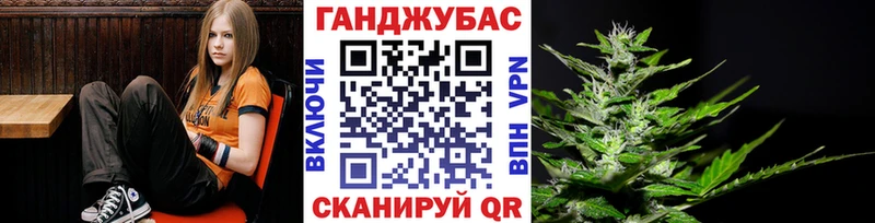 Каннабис семена где купить наркоту Кашин